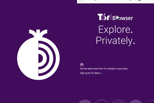 Кракен тор kr2web in