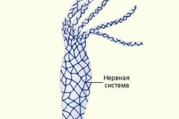 Кракен актуальная